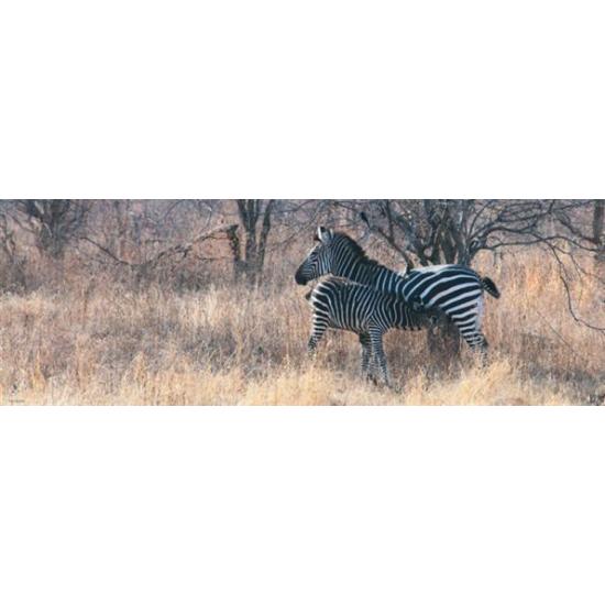 Puzzle de 1000 peças Heye Food