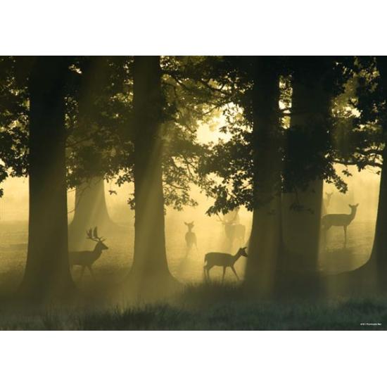 Puzzle de 1000 peças Heye Deer