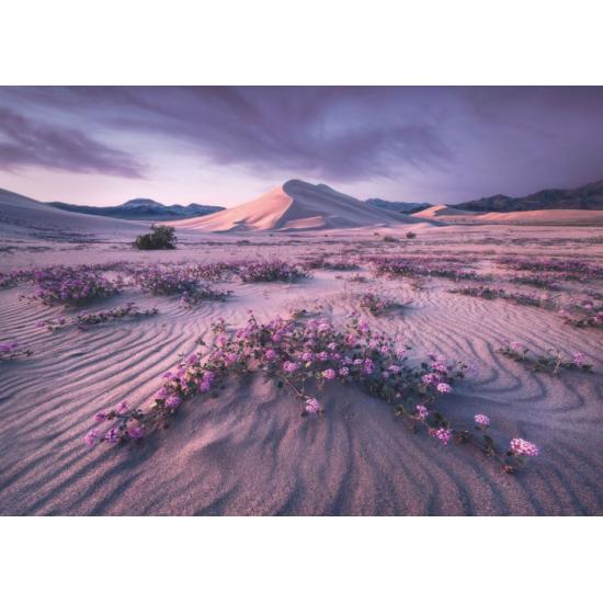 Puzzle dinâmico do deserto Heye 1000 peças