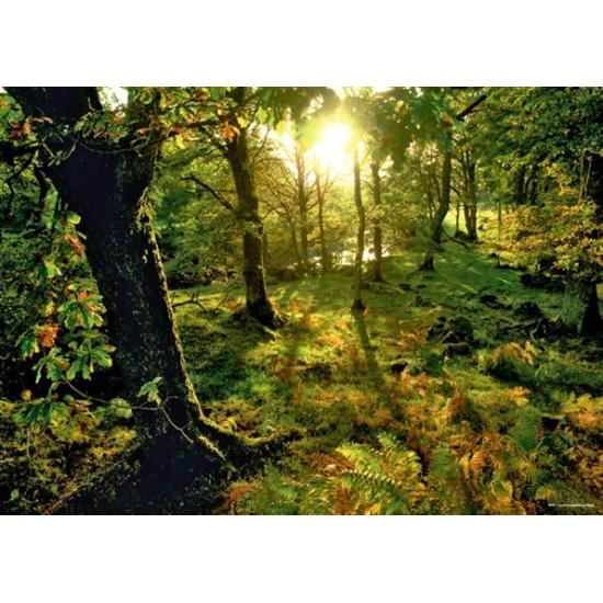 Heye The Forest Puzzle 1000 Peças