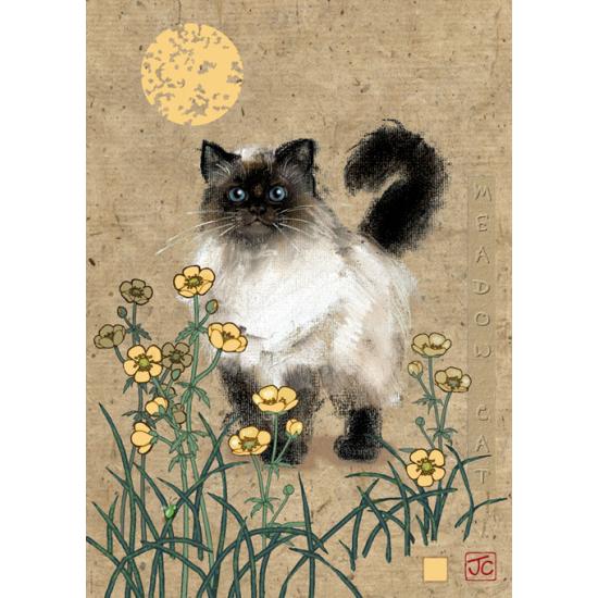 Puzzle Heye Gato Siamês 1000 Peças