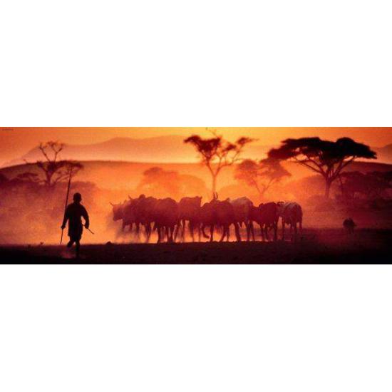 Puzzle de 1.000 peças do deserto de Kalahari