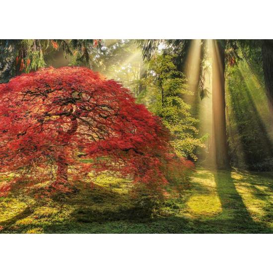 Puzzle de luz guia heye 1000 peças Puzzle de luz guia heye 1000 peças