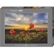Puzzle Heye Cloudberries de 1000 Peças