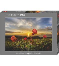 Puzzle Heye Cloudberries de 1000 Peças