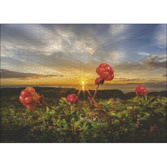 Puzzle Heye Cloudberries de 1000 Peças