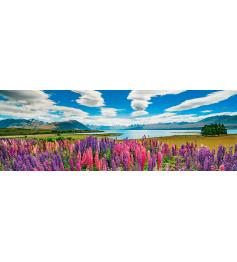 Puzzle Heye Panorâmico Lake Tekapo 1000 Peças