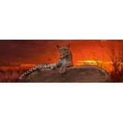 Heye Sunset Red Puzzle 2000 Peças