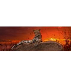 Heye Sunset Red Puzzle 2000 Peças