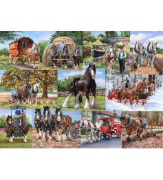 Puzzle House Of Puzzles Cavalos de carga de 1000 Peças