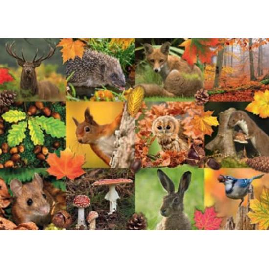 Puzzle Jumbo de Animais de Outono de 1000 Peças