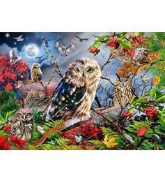 Puzzle Jumbo de 1000 peças Corujas no luar