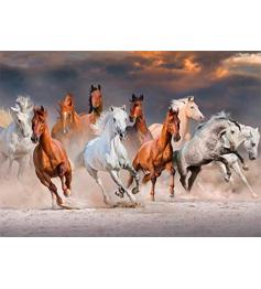 Puzzle Jumbo de 1.000 peças Cavalos do Deserto