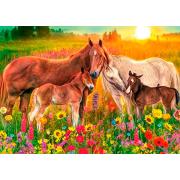 Cavalos de Puzzle Jumbo no riacho 500 peças
