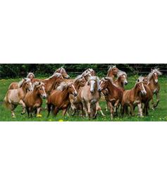 Cavalos de Puzzle Jumbo no prado 1000 peças