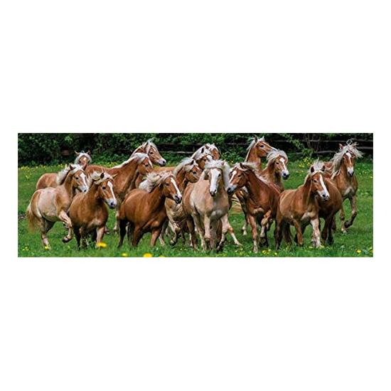 Cavalos de Puzzle Jumbo no prado 1000 peças