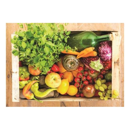 Puzzle Jumbo Box de Legumes e Frutas de 500 Peças