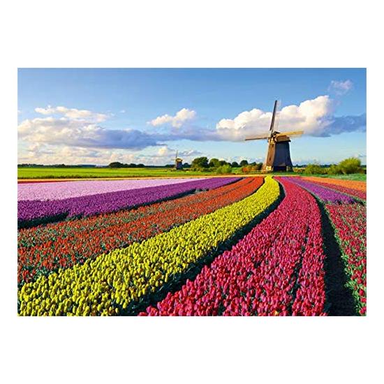 Puzzle Jumbo Campo de Tulipas 1000 Peças