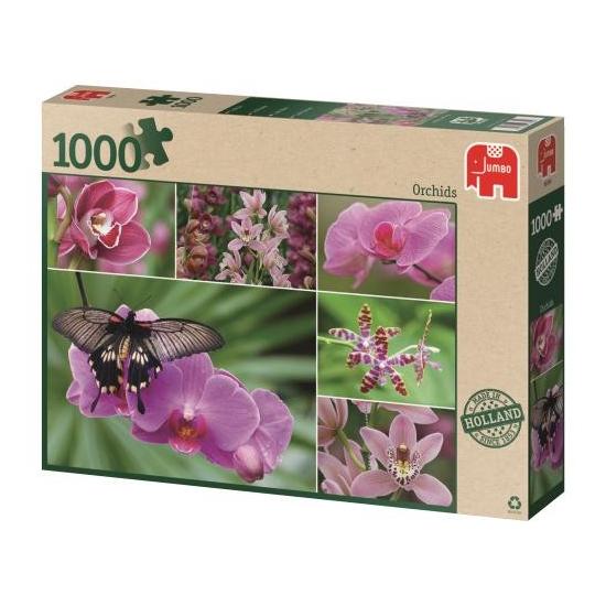 Puzzle Jumbo Orquídeas 1000 Peças