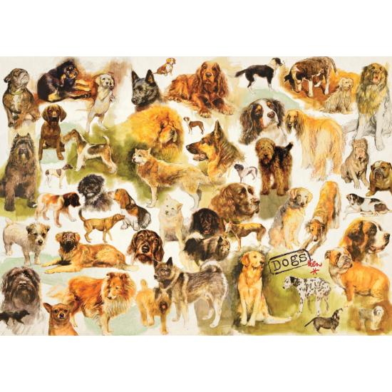 Pôster de cachorros Puzzle Jumbo 1000 peças