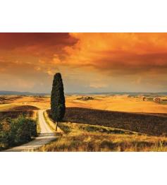 Puzzle Jumbo Tuscan Sunset 1000 Peças