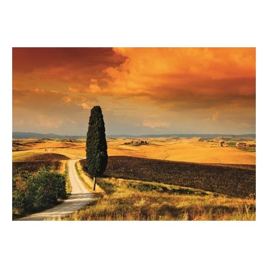 Puzzle Jumbo Tuscan Sunset 1000 Peças
