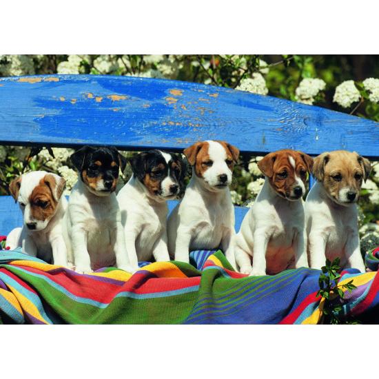 Puzzle Jumbo O Que É Isso 1000 Peças