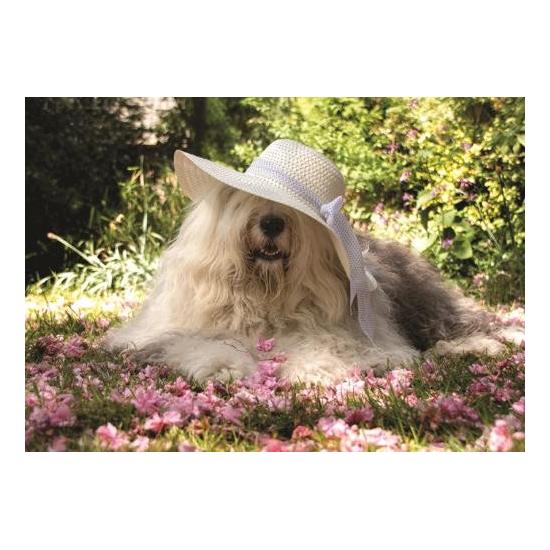 Puzzle Jumbo de 500 peças Sophie em um canteiro de flores