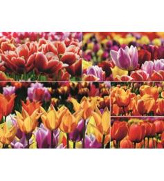 Puzzle Jumbo Tulipas Holandesas de 1.000 Peças