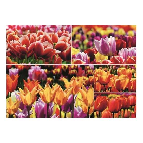 Puzzle Jumbo Tulipas Holandesas de 1.000 Peças