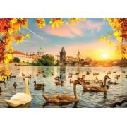 Puzzle Magnolia Swans na Ponte Carlos 1000 Peças