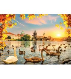 Puzzle Magnolia Swans na Ponte Carlos 1000 Peças