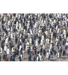 Puzzle Magnolia Colônia de Pinguins Rei de 1500 Peças