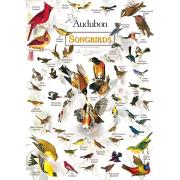 Puzzle de 1.000 peças MasterPieces Songbirds