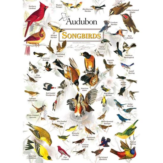 Puzzle de 1.000 peças MasterPieces Songbirds