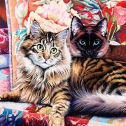 Peças-primas de Puzzle Casal de gatos de 1000 peças