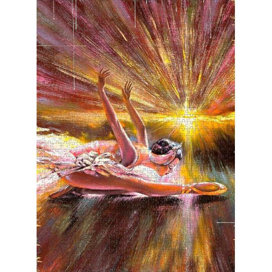 Puzzle Nova Ballerina 1000 Peças Puzzle Nova Ballerina 1000 Peças