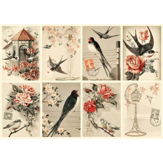 Puzzle de colagem de pássaros vintage de 1000 peças Nova Puzzle de colagem de pássaros vintage de 1000 peças Nova