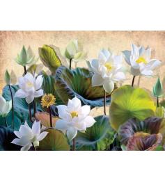 Puzzle Nova Flores de Lótus Branco 1000 Peças