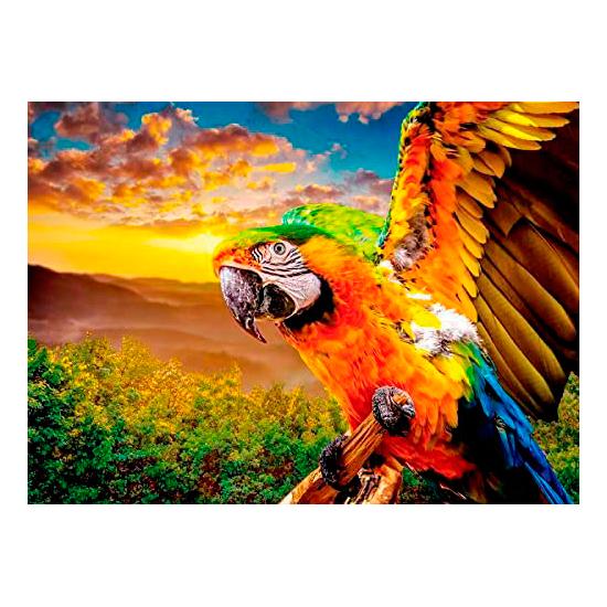 Puzzle Nova de papagaio americano 1000 peças