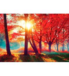 Puzzle Nova Vermelho Outono 1000 Peças