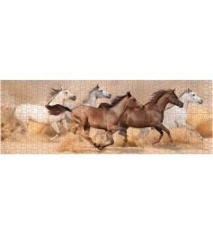 Cavalos de Puzzle Nova Panorama correndo na tempestade de