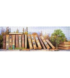 Puzzle Nova Panorama Rua do Livro de 1000 Pzs