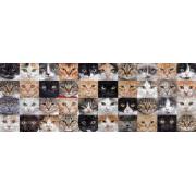 Puzzle Nova Panorama Colagem de Gatos de 1000 Pzs