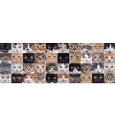 Puzzle Nova Panorama Colagem de Gatos de 1000 Pzs