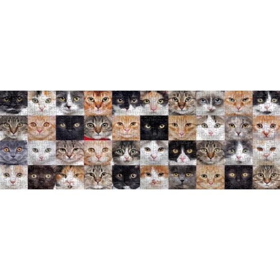Puzzle Nova Panorama Colagem de Gatos de 1000 Pzs