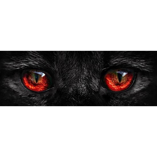 Puzzle Nova Panorama Cat's Eyes 1000 peças