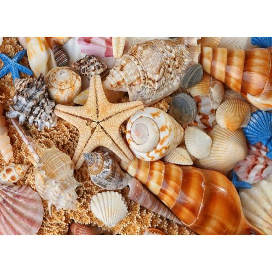 Puzzle Praia Nova 1000 Peças