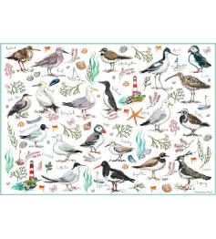 Puzzle Otter House Aves Marinhas 500 Peças