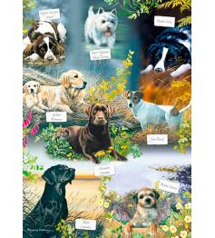 Puzzle Otter House Man&#39;s Best Friend 1000 Peças